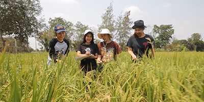 การพัฒนาชุมชน